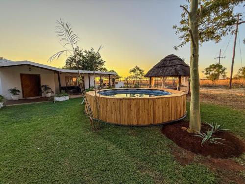 Bela-Bela House | Lemón Phoenix