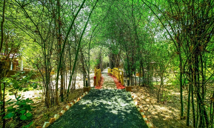 Tala Hotel | Lemon Tree Wildlife Resort, Bandhavgarh