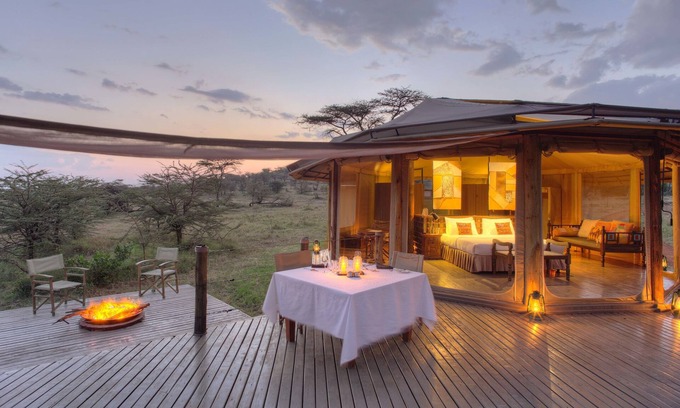 Talek Other | Leopard Hill