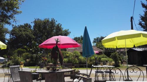 Saint-Michel-Escalus House | Les gîtes du Domaine du Cayre