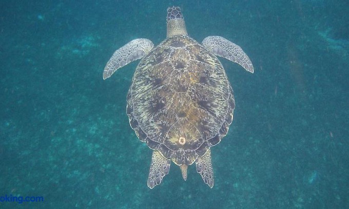 Sainte-Anne Apartment | Les Hauts De Caritan