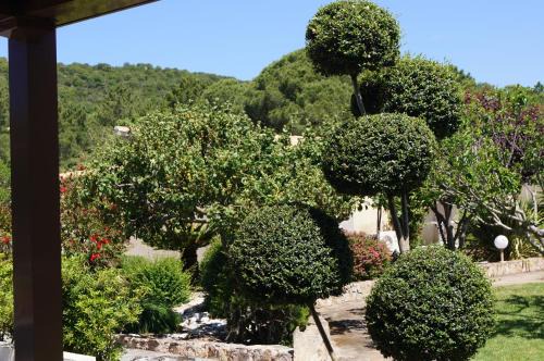 Santa Giulia House | Les Jardins De Santa Giulia - Charmante chambre dhte
