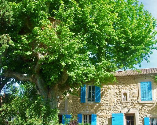 Salon-de-Provence House | Les Volets Bleus Provence