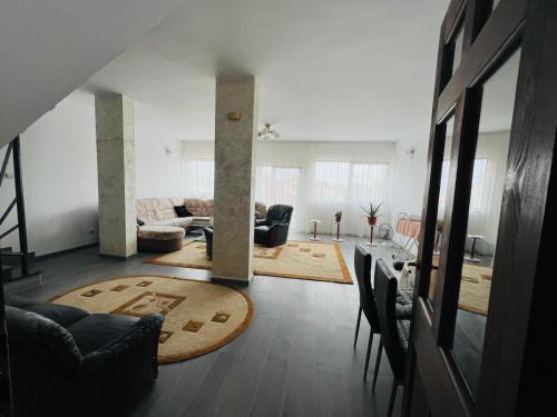 Timisoara Villa | Levi Home 130