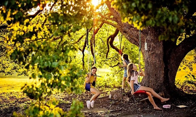 Pinbarren Cabin | Lime Lodge Farmstay-Families-Horse Riders-Nature