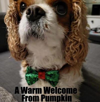 Bournemouth House | Little Robin Gate - Free Parking - Central - 10 min Walk to Train Station