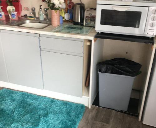 Dartmouth Ski Chalet | Little Trains of Dartmouth Trains of Light Special Summer and Easter Holiday Deals