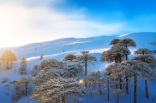 Vilcun Ski Chalet | Llaima lodge Conguillio