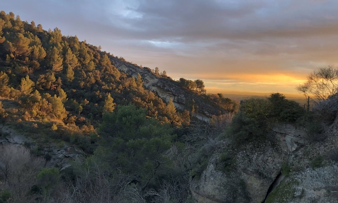 Beaumes-de-Venise House | Location Avec Vue Exceptionnelle au Pied des Dentelles de Montmirail