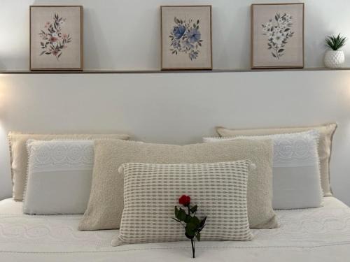 Mandelieu-La-Napoule Bed & Breakfast | Location de chambre Villa les allamandas