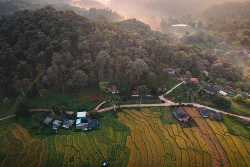 Pa Pae Resort | Lochi Chiangmai โลชิ เชียงใหม่