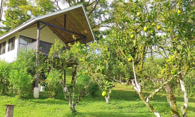 Parrita House | Lodge with Private 40ha Jungle Reserve