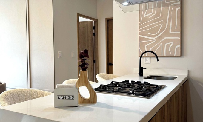 Zona Minerva Apartment | Loft Modern American Americana Chapultepec Pool Wifi AC Gym Parking