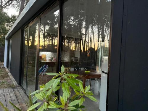 Chihuahua House | Loftdelbosque