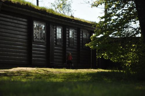 Ikast-Brande Municipality House | Log-House Wildernest