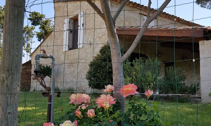 Caromb House | Louise's Cabanon "Between vineyards and Mt Ventoux