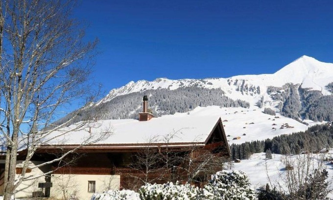 Lauenen Apartment | Lovely apartment for 4 guests with WIFI and balcony