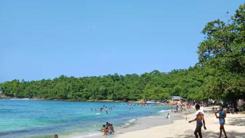 Port Antonio Cabin | Lovely Garden Veiw with Queen Seize Bed in Portland