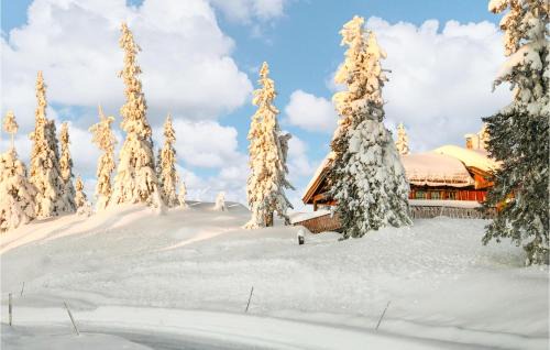 Rollag House | Lovely Home In Veggli With Kitchen