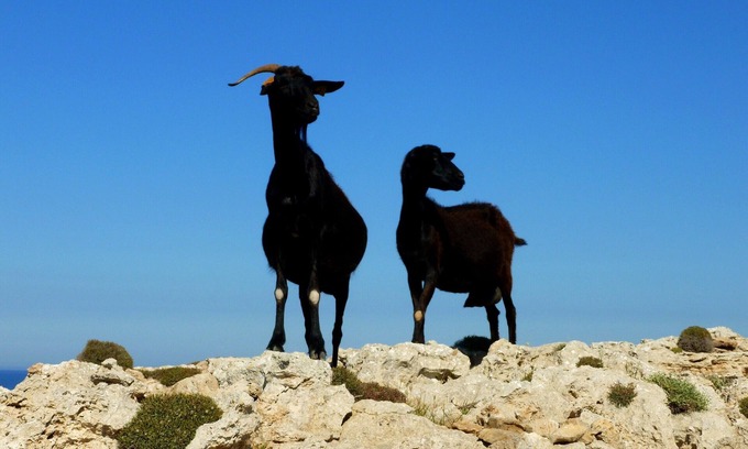 Exo Gonia Villa | Lovely Santorini Villa | Terrace House | 1 Bedroom | Private Balcony