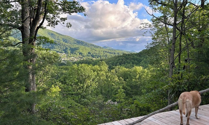 Waynesville RV Rental | Lover’s Lookout is a treetop retreat /perfect for a romantic escape.