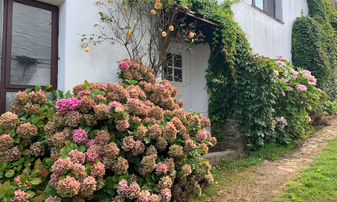 Dartmouth Cottage | LOWER MILL, pet friendly, character holiday cottage in Dittisham