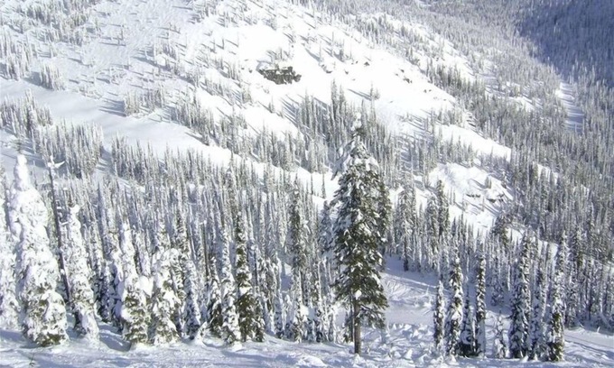 Whitefish House | Luxury Townhouse: Ski-in Ski Out at Whitefish Mountain Resort
