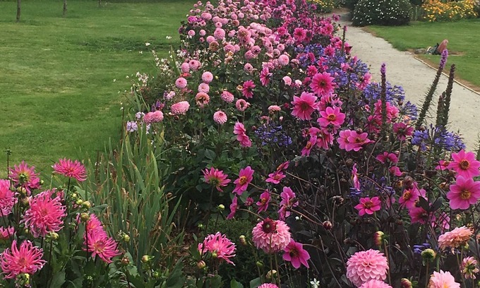 Les Rotours Bed & Breakfast | Lyolyl BnB Nature Loisirs