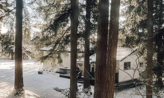 Belltown House | Made for Solo Travelers