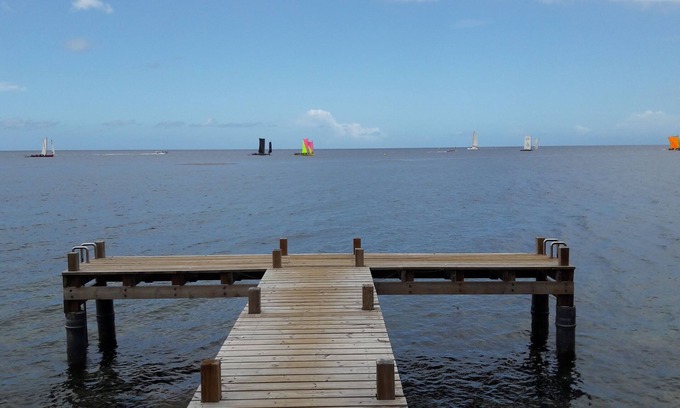 Schoelcher Apartment | Magnificent T2 Beachfront, pontoon access to the sea, small garden.