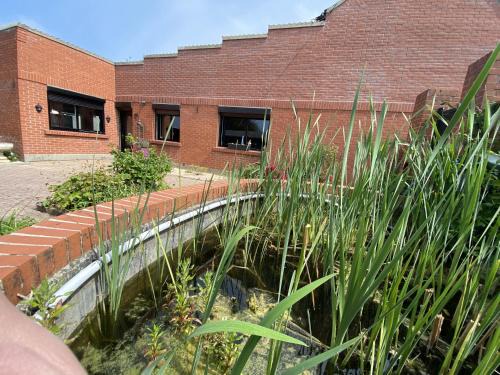 Wavrin House | Maison coeur des Weppes La Maralbique