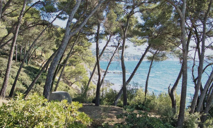 Le Pradet Apartment | Maison De La Mer (South of France)