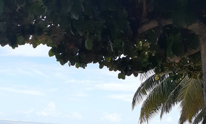 Vai'anae House | Maison de la Plage