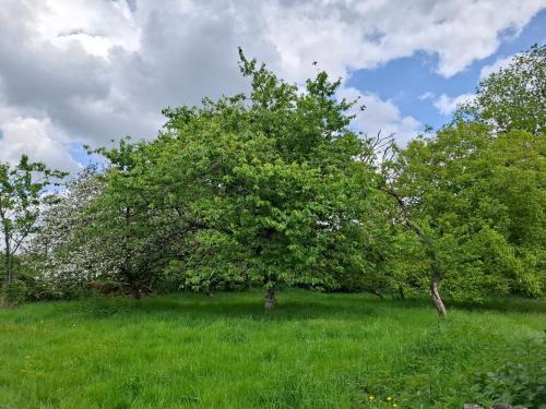Les Grands-Chezeaux House | Maison de vacances à la campagne