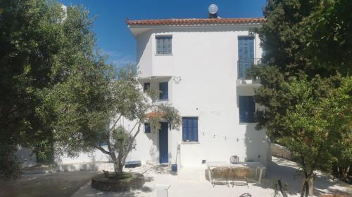 Afytos Villa | Maison Des Oliviers 4 CHAMBRES, PISCINE PRIVEE, MER, PLAGE, VILLAGE