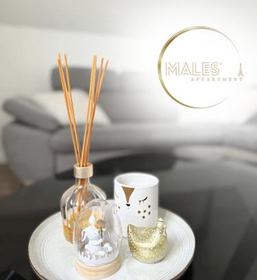 Bondy Apartment | MALES Appartment