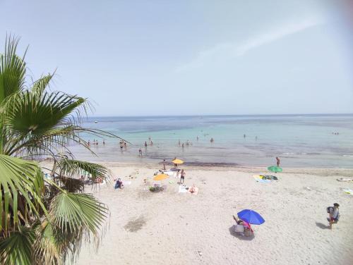 Trapani City Centre Apartment | maremura , spiagge e isole a due passi