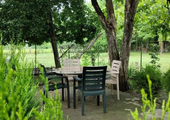 Salkhino House | Martvili Guesthouse