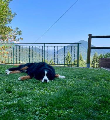 Pieve Tesino Apartment | Maso Patrizia - Rifugio caldo tra le vette