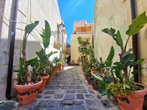 Ortigia Apartment | Mastrarua 1887
