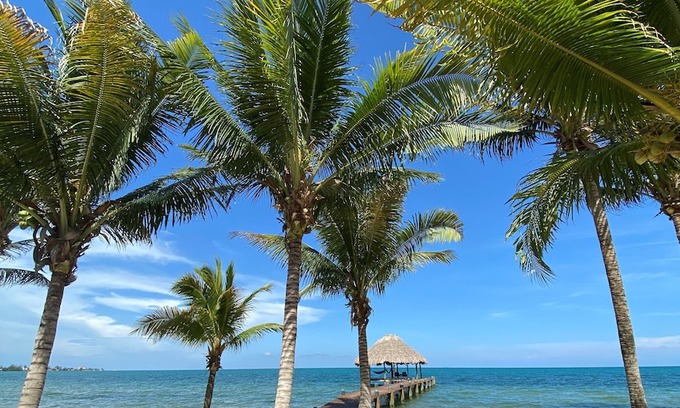 Placencia Hotel | Maya Beach Hotel