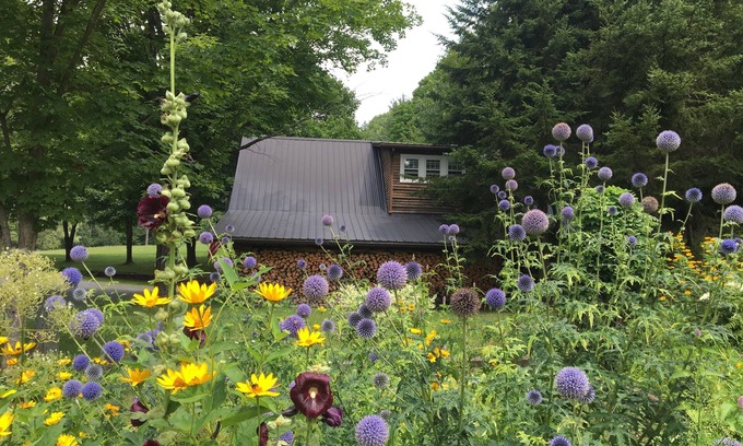 Windsor House | Meadow View- 35 Acres outside your door