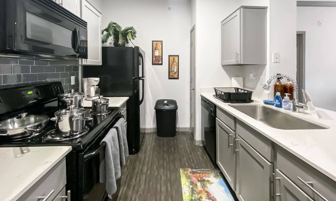 Astrodome Apartment | Medical Center Luxury Furnished & Equipped 2br 2ba (813)