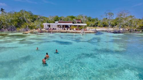 Costa Caribe House | Medusa Hostel Isla Tintipan