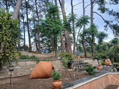 Karlovassi Apartment | Melody, Country house in the pine trees