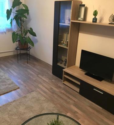 Szolnok Apartment | Menta apartman