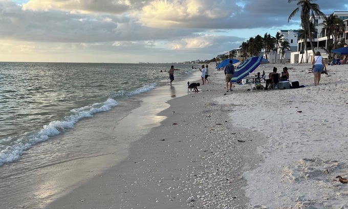Bonita Springs Condo | Miles of beach right across the street. Enjoy ocean view from screened balcony!