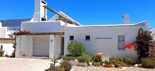 Paternoster Apartment | Milk Thistle Loft & Studio apartments