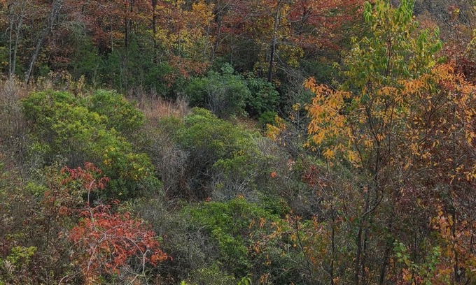 Andrews Apartment | Million Dollar View