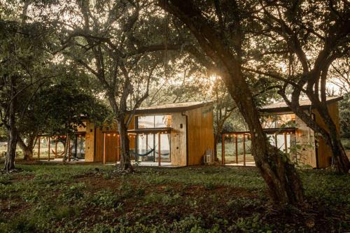 Las Escobas del Venado Apartment | Mind - Oceanfront Jungle Loft